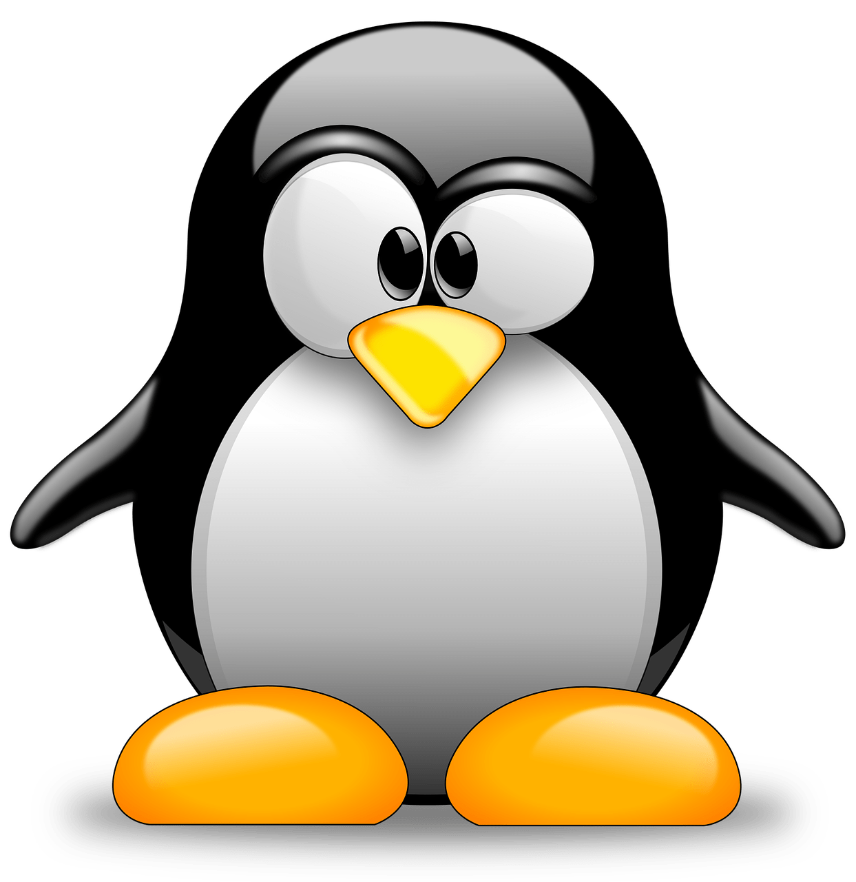 linux operativni sustav