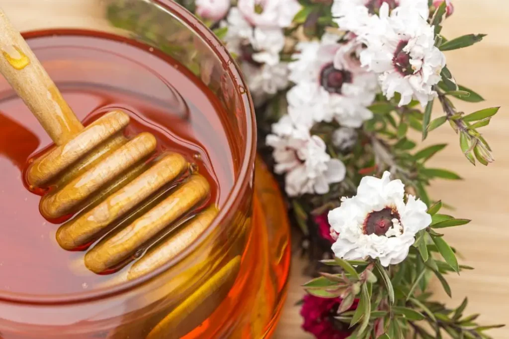 Zdravstvene Blagodati i Načini Upotrebe Manuka Meda