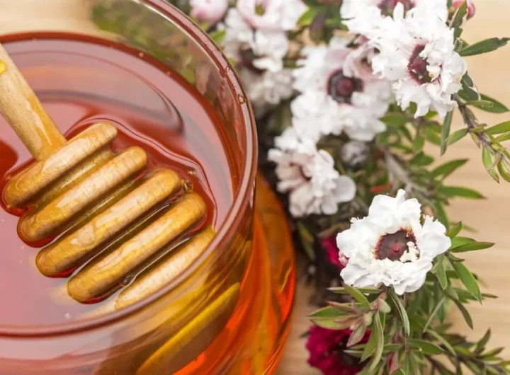 Zdravstvene Blagodati i Načini Upotrebe Manuka Meda