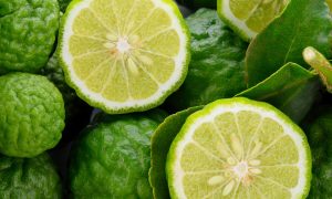 Citrus Bergamot i Njegov Ekstrakt