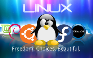 Linux Distribucije Kao Alternativa Windows-u