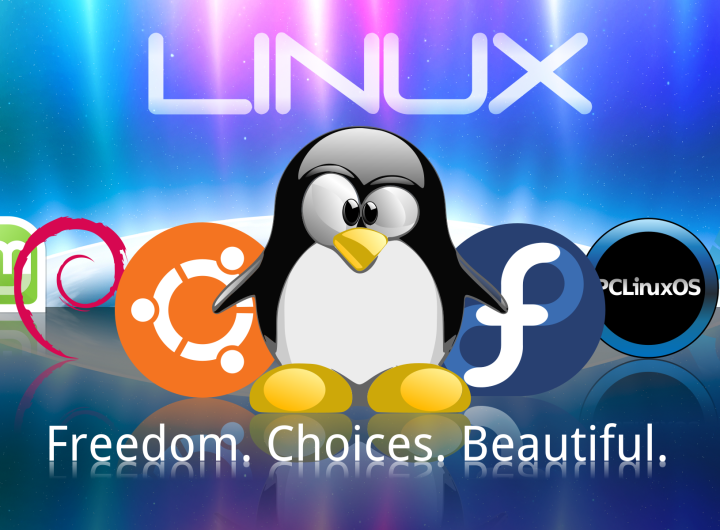 Linux Distribucije Kao Alternativa Windows-u