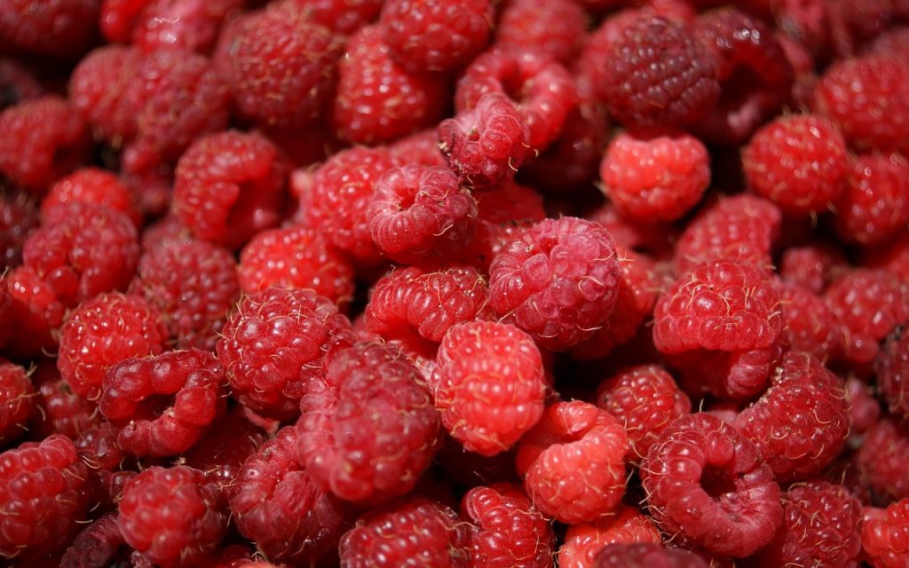 Maline, Sorte i Uzgoj