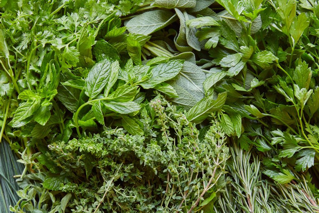 Začinsko Bilje i Njegov Utjecaj na Probavu i Metabolizam