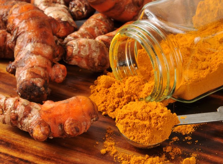 Kurkuma (Curcuma longa): Zlatni Začin s Tisućljetnom Tradicijom i Ljekovitom Snagom
