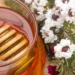 Zdravstvene Blagodati i Načini Upotrebe Manuka Meda